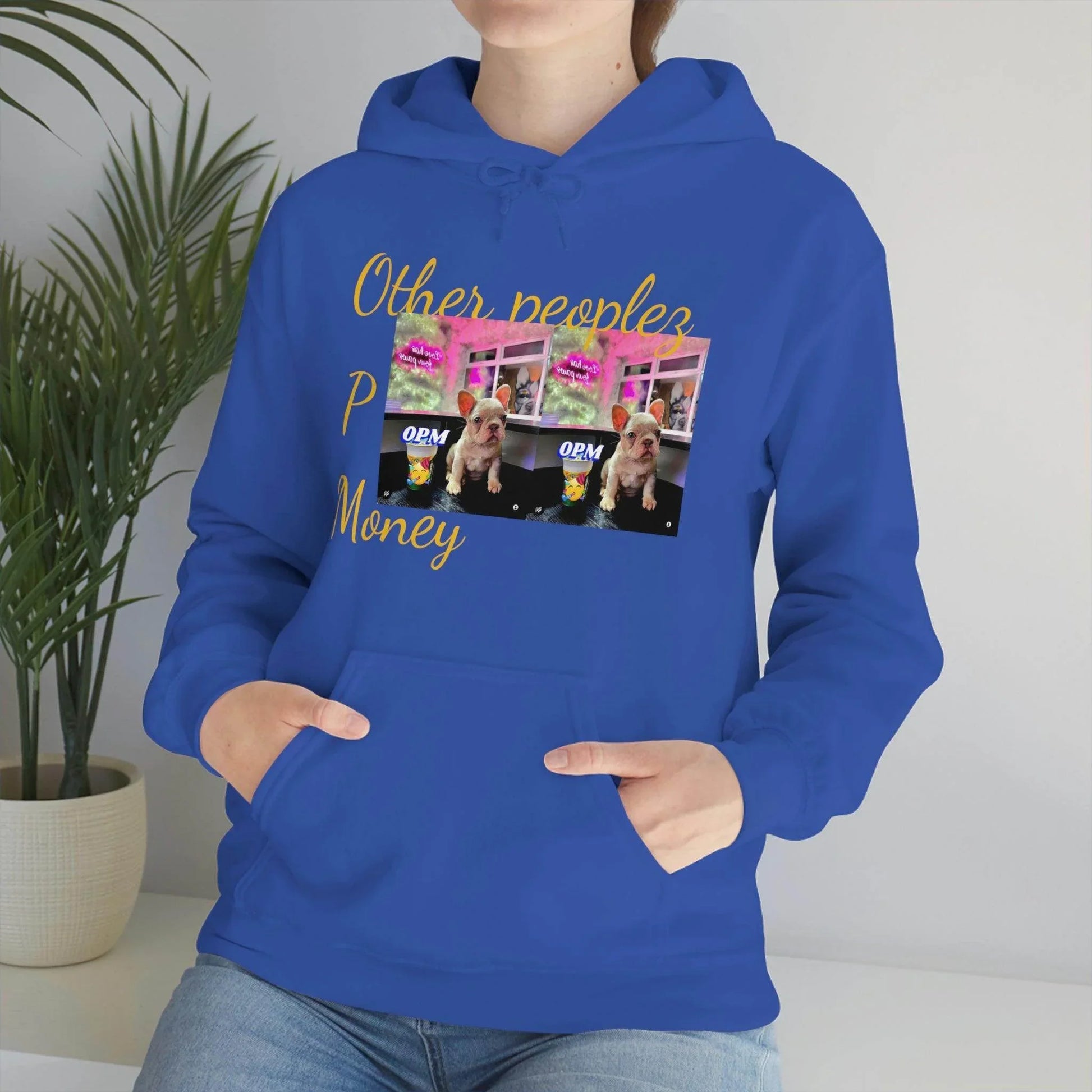 Blue hooded sweatshirt with cute dog graphic and 'Other peoples Money' text, casual streetwear